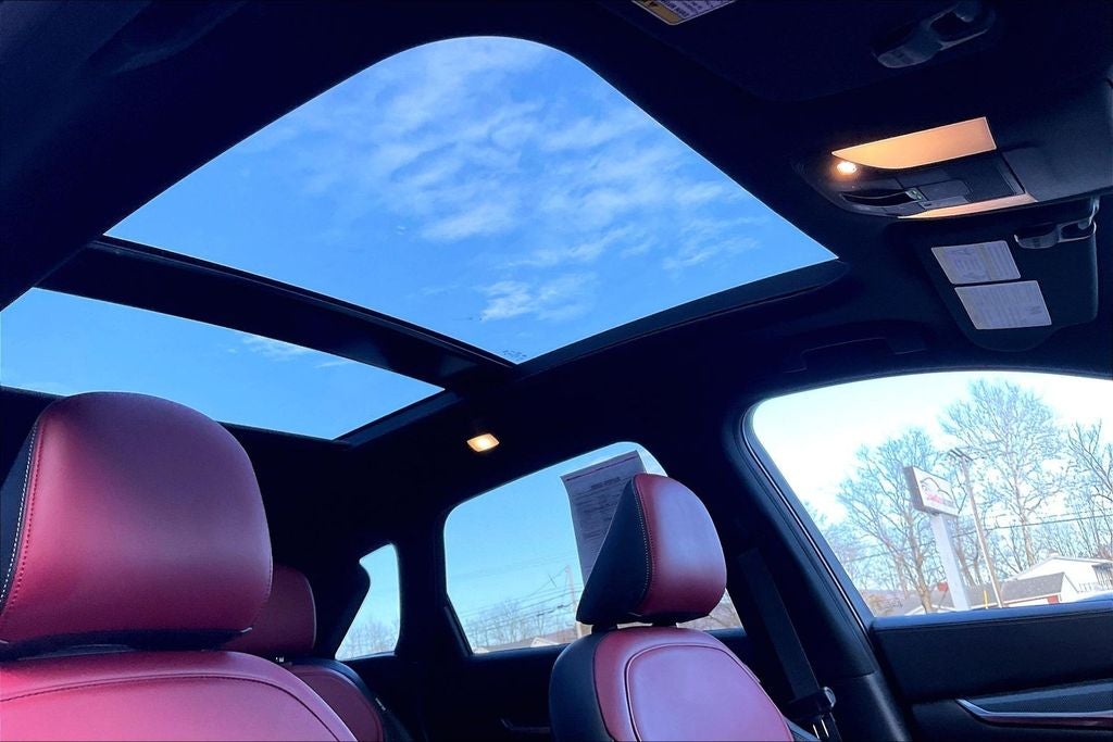 2023 INFINITI QX50 SPORT